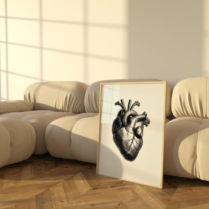 Printable Posters of Human Heart, Anatomical Art, Vintage Medical Decor, Digital Download for Home Wall Art