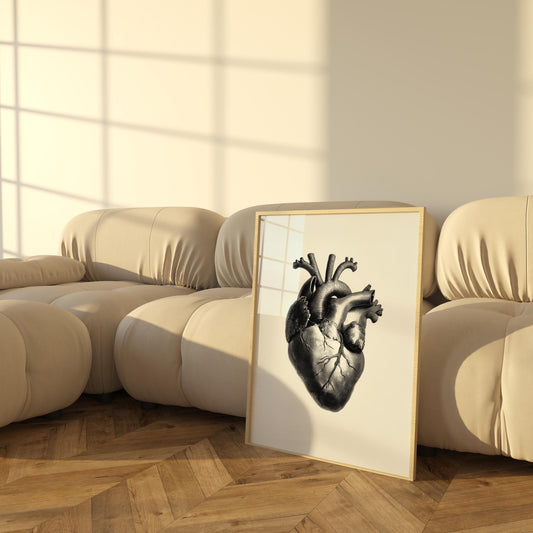 Printable Posters of Human Heart, Anatomical Art, Vintage Medical Decor, Digital Download for Home Wall Art