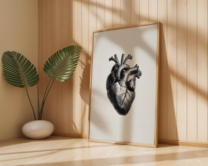 Printable Posters of Human Heart, Anatomical Art, Vintage Medical Decor, Digital Download for Home Wall Art
